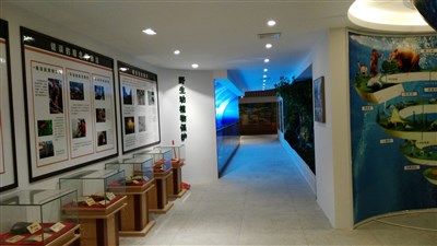500平米展廳設(shè)計制作：現(xiàn)代/綠色，教育類展廳-桂林植物園科普展廳（免費使用）